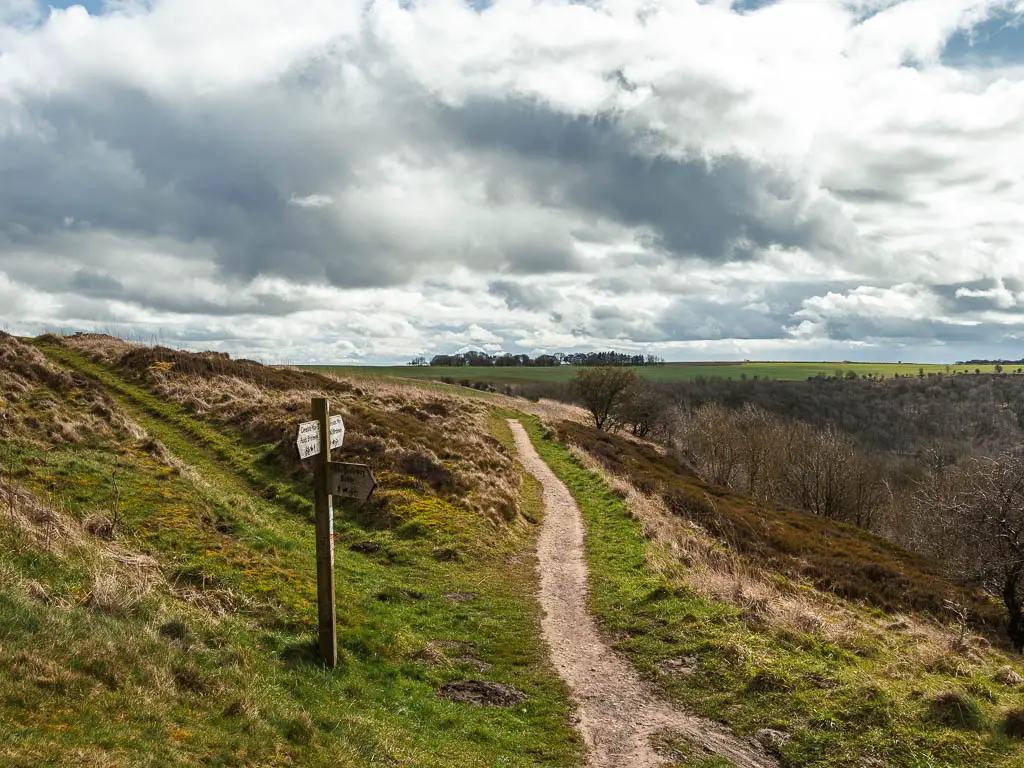 A trail along the side of a grass hill, with a wooden signpost on the left, and a grass trail offshoot to the left.