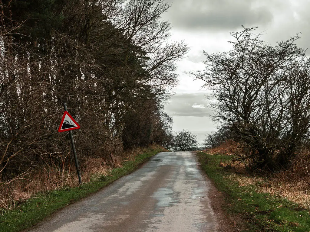 A road, lined with trees, and a red triangle road sign saying '25%' gradient.