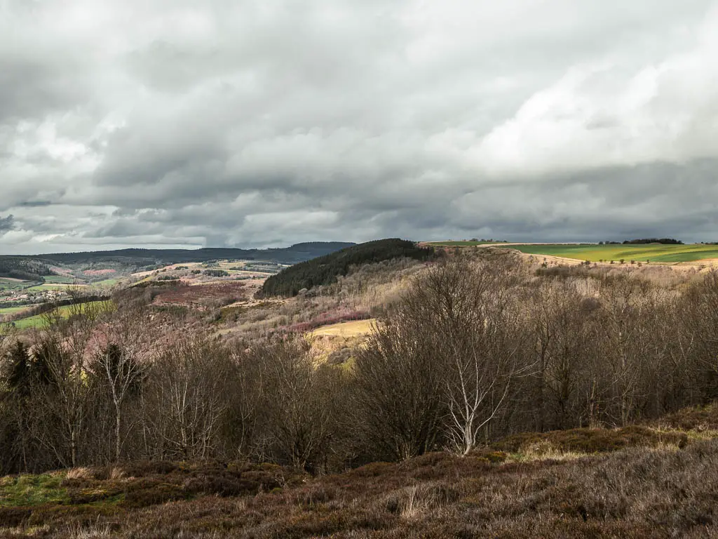 Looking across the leafless trees to the hill side, and further undulating hills in the distance, on the walk towards Sutton Bank.