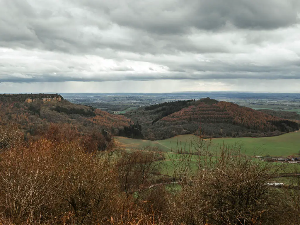 Looking over the leafless tree tops, to the cliffside on the left, on the walk along the top of Sutton Bank. There is a pointy tree covered hill ahead.