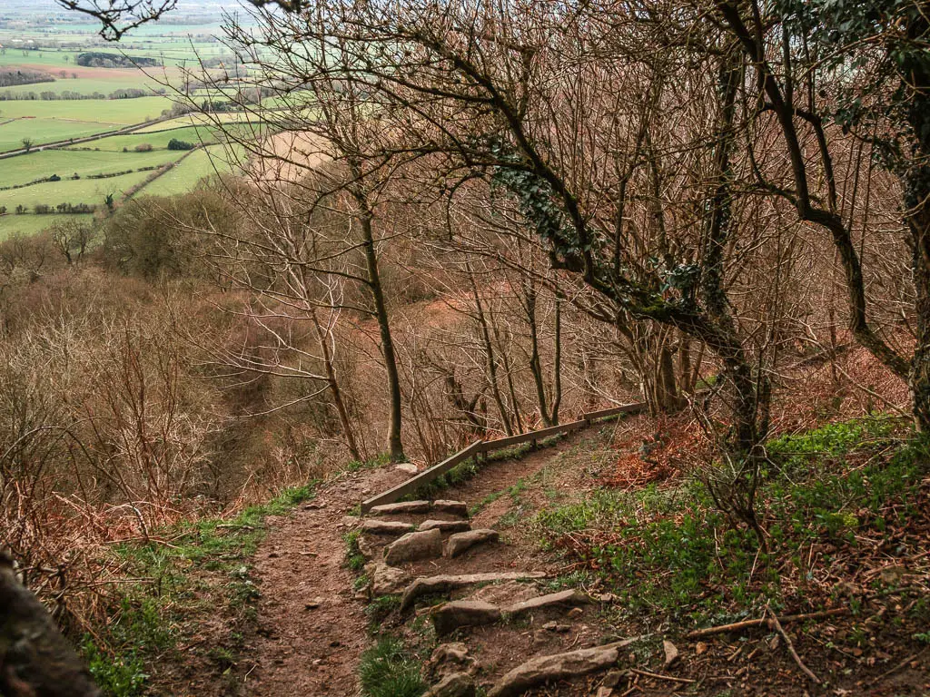 Looking down the rugged dirt trail and stone steps under tree cover, on the walk down to Gormire Lake.