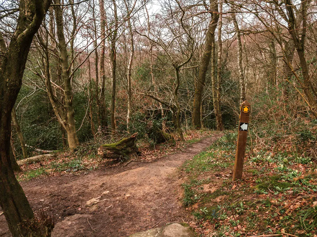 A dirt trail junction in the woods, with a wooden stump signpost with a white and back arrow sign pointing left.