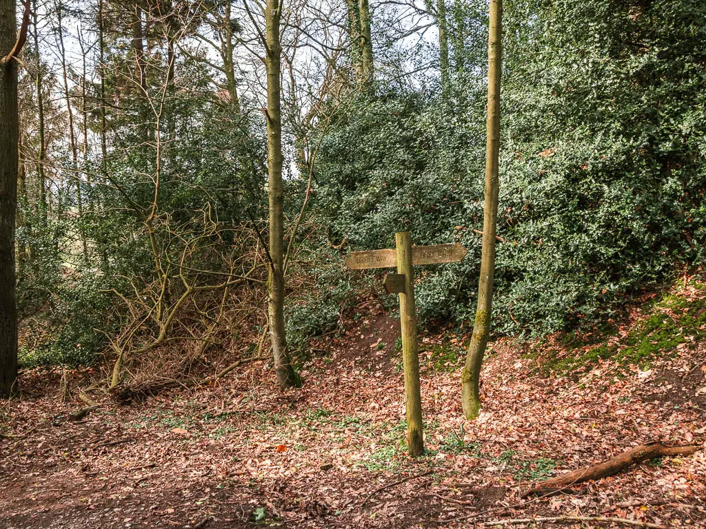 A wooden trail signpost in the woods, pointing left, right, and back.