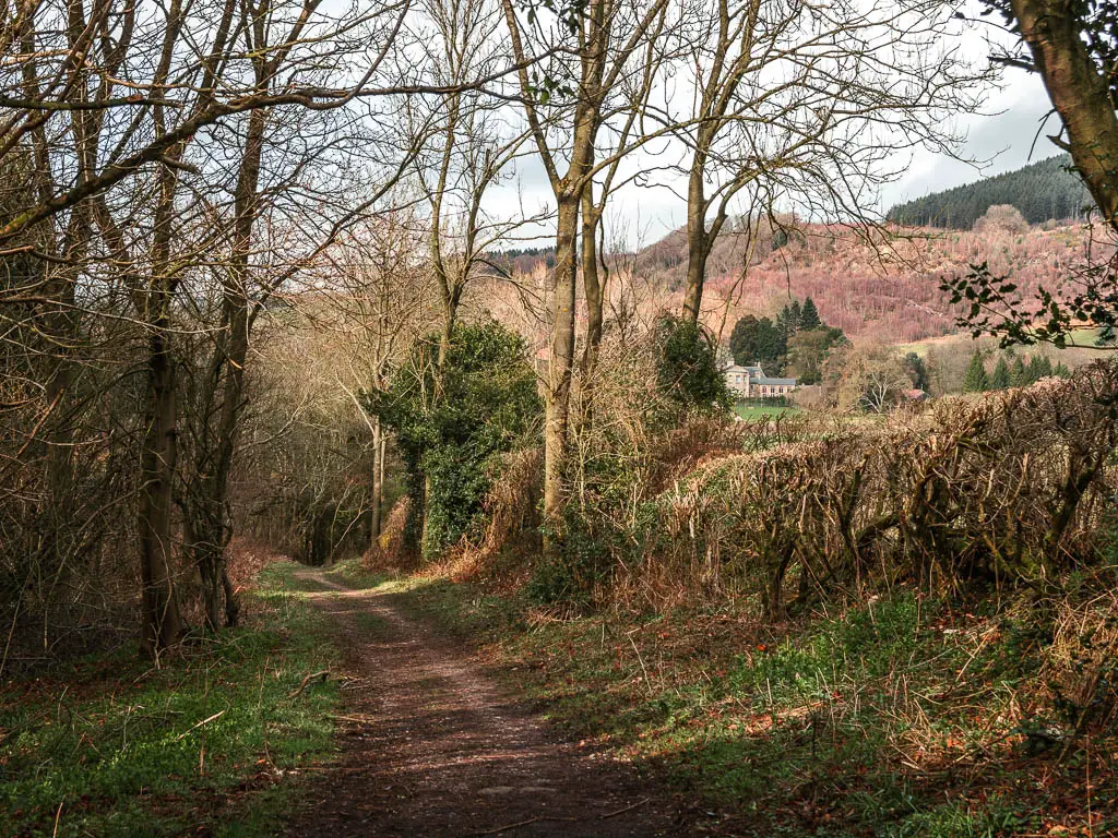 A dirt trail, with trees to the left and bushes to the right, and a grand house visible in the distance to the right, on the walk back from Sutton Bank.