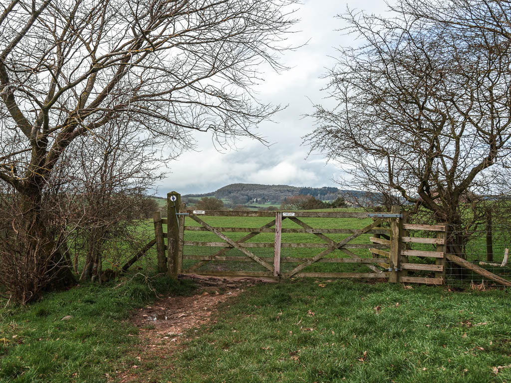 a wooden gate leading to a big grass field.