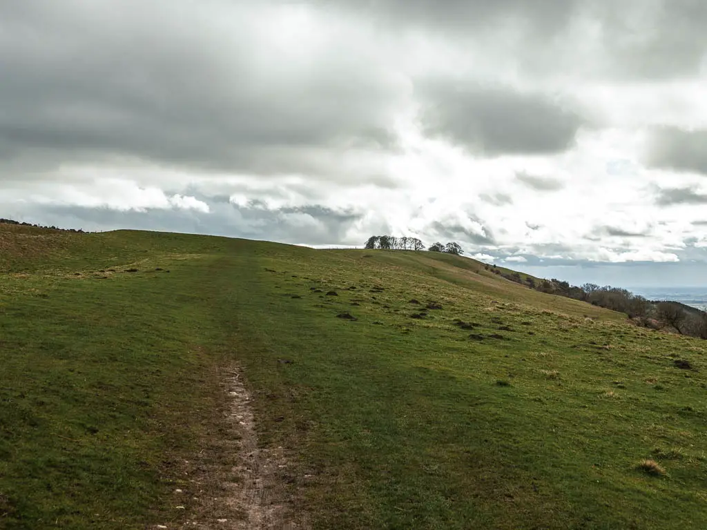 A large grass hill field, with a small bit of dirt trail visible along it. It's a cloudy day.
