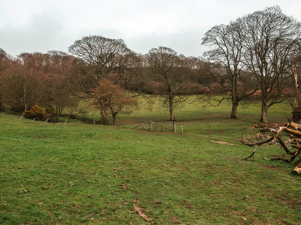 a large grass field, with a fence and wooden gate ahead, and a few trees dotted about on the other side.