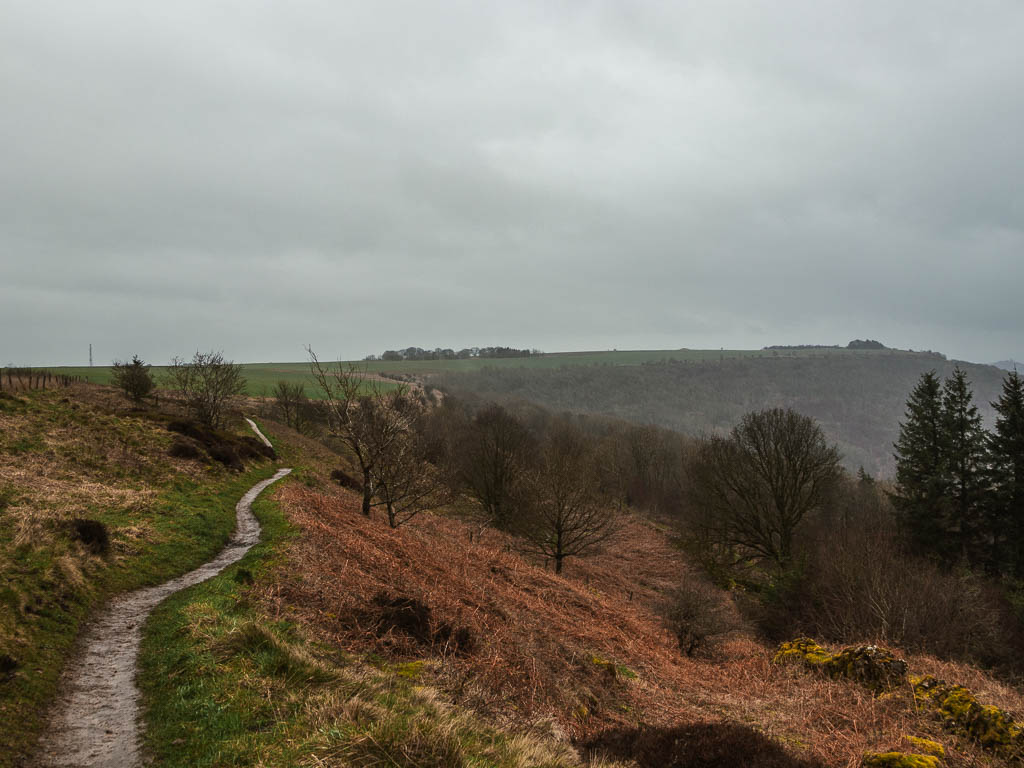 A narrow trail on the left, on the side of a hill with trees below. Its raining, grey and misty.