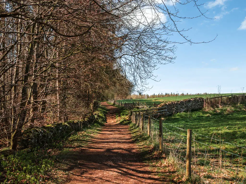 A dirt path with a stone wall and woodland trees to the left, and a wire fence and grass fields to the right.