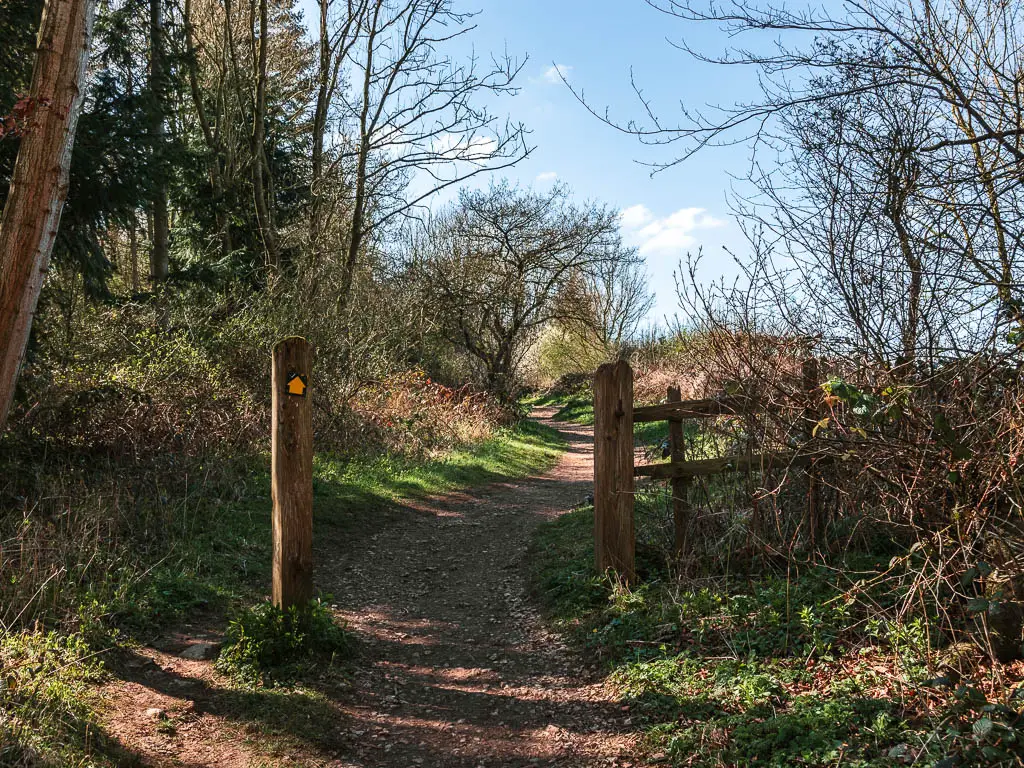 A dirt trail winding ahead with woodland to the left and bushes to the right. There is a wooden stump signpost with a yellow arrow pointing straight.