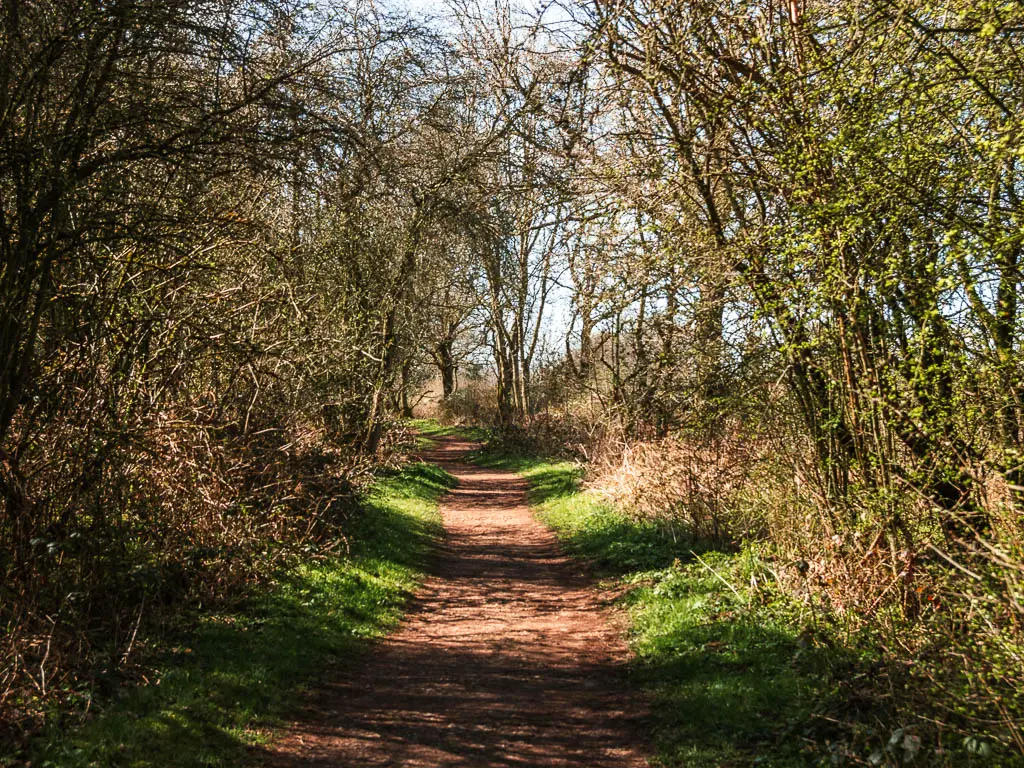 A dirt path lined with grass and overhanging trees and bushes.