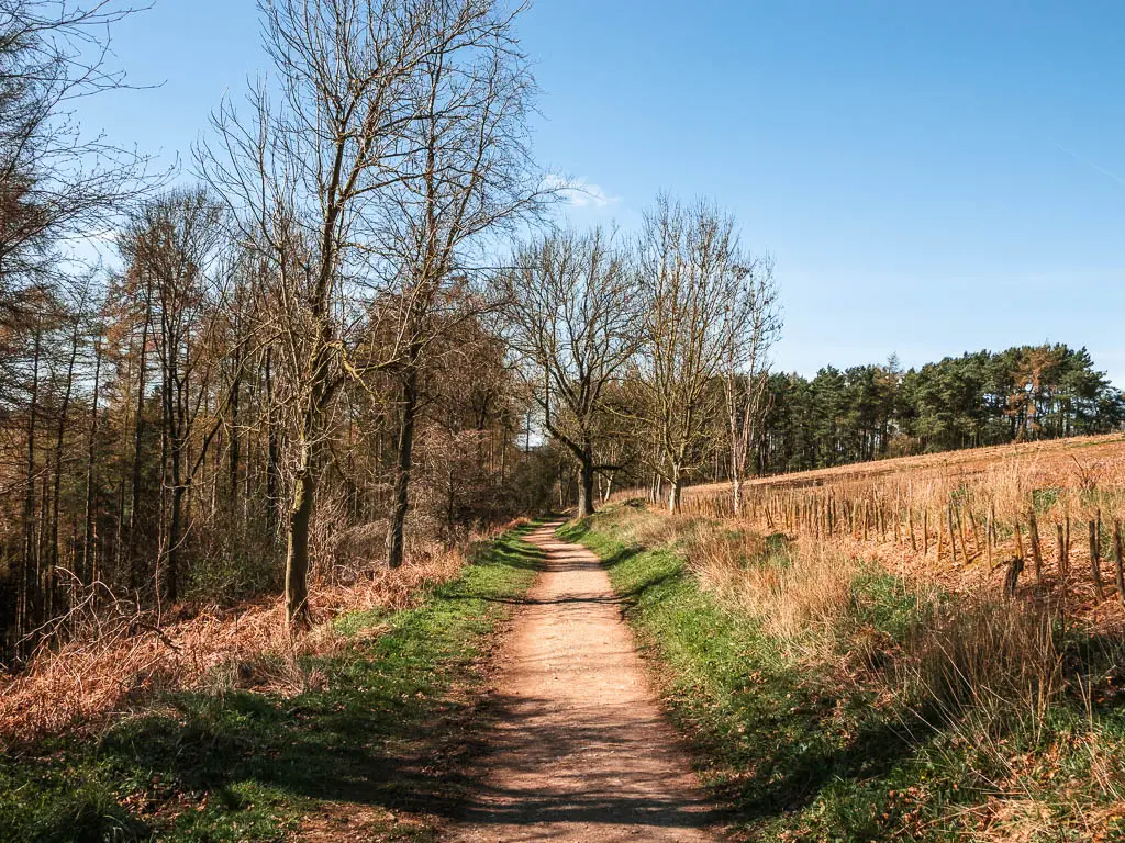 A path leading straight with a field to the right and woodland to the left on the walk Rievaulx Abbey from Helmsley.