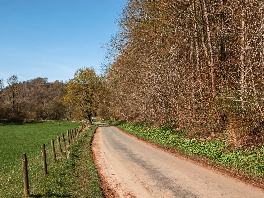 A road leading straight ahead, with woodland to the right and a wore fence and field to the left/