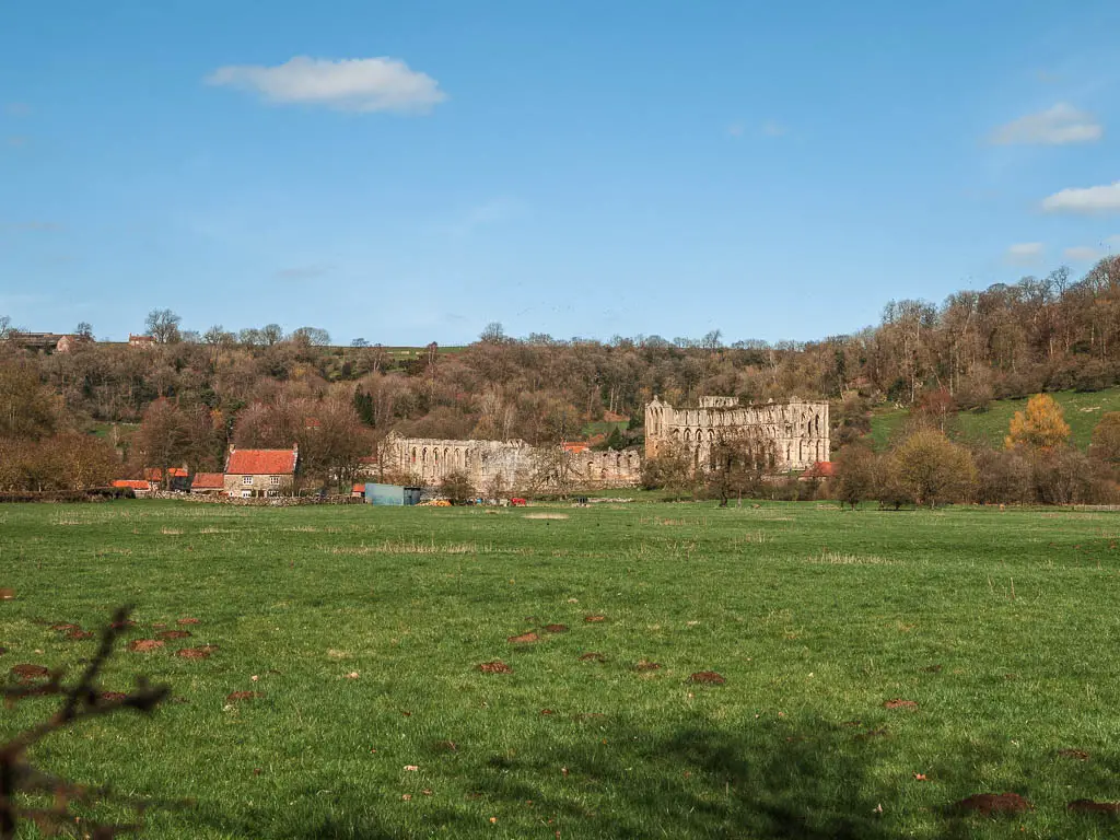 Looking across the large grass field to the ruins of Rievaulx Abbey on the other side, at the halfway point in the walk from Helmsley. There is a tree covered hill behind the abbey.