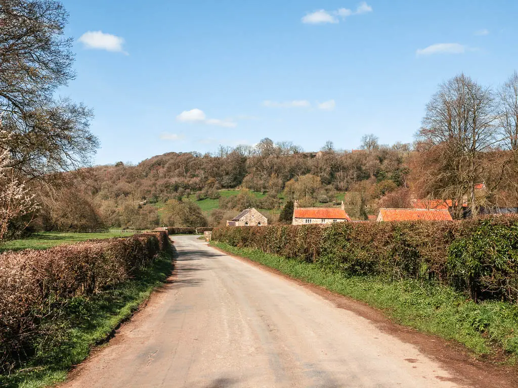 A country road lined with hedges, and the red roofs of cottages visible over the right hedge, on the walk into Rievaulx.