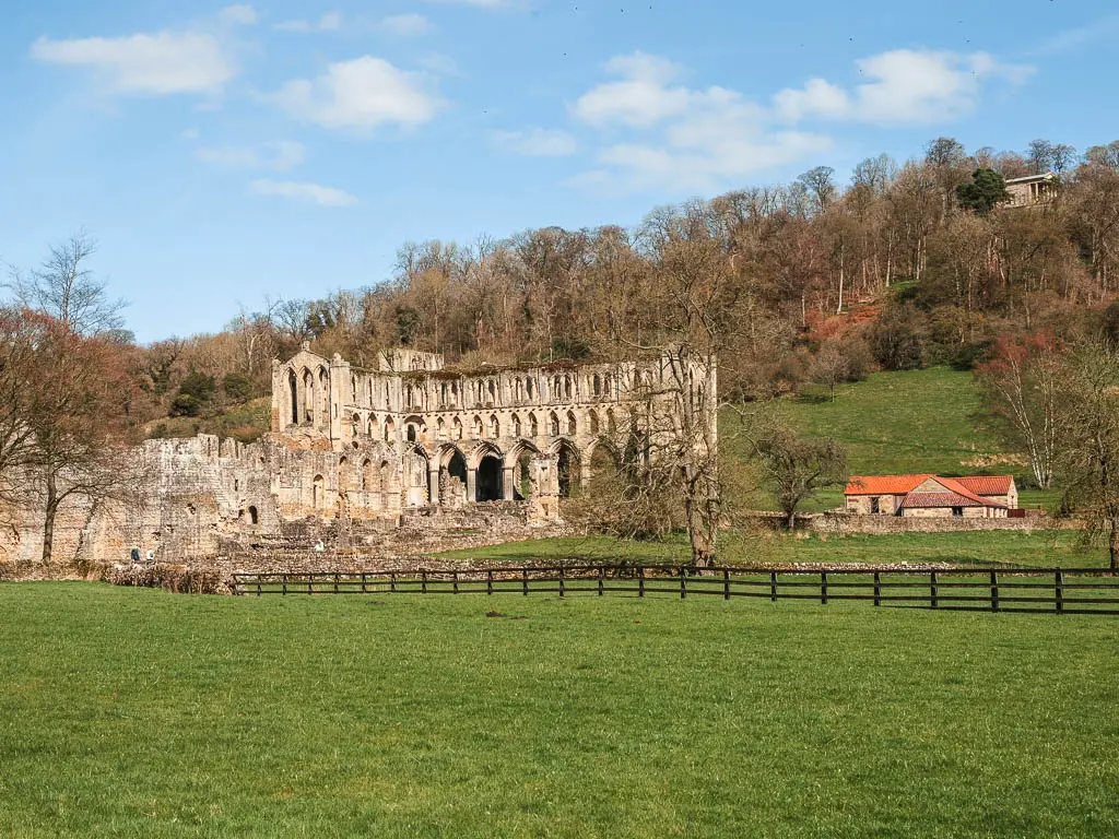 Looking across the grass to the ruins of Rievaulx Abbey, at there halfway mark in the walk from Helmsley. There is a tree covered hill behind the abbey.