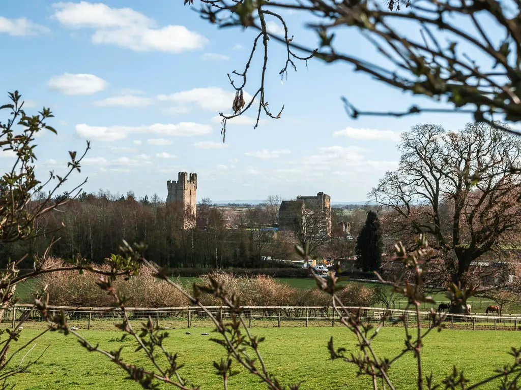 Looking through a gap in the hedge to a field and the castle ruins in Helmsley in the distance.