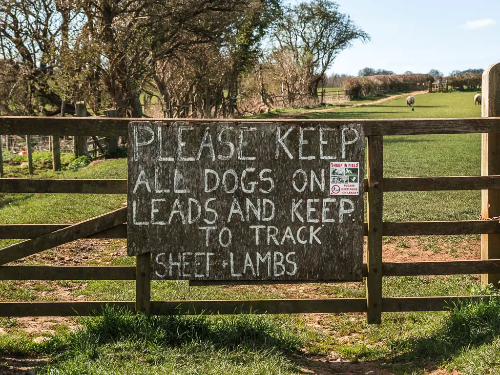 A sign on a wooden fence saying to keep dogs on leads due to sheep and lambs.