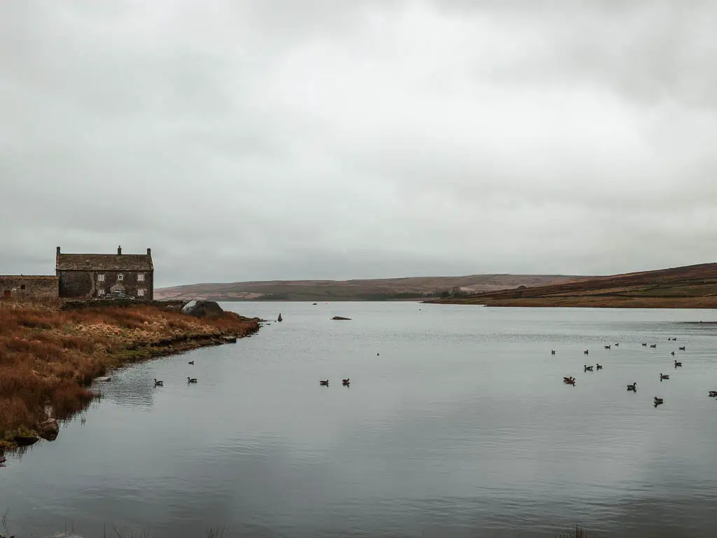 Looking across the calm grey water of the Grimiwith Reservoir, in the Yorkshire Dales, on the walk around it. There is a small farm house on the bank on the left of it, and lots of ducks on the surface of the water.