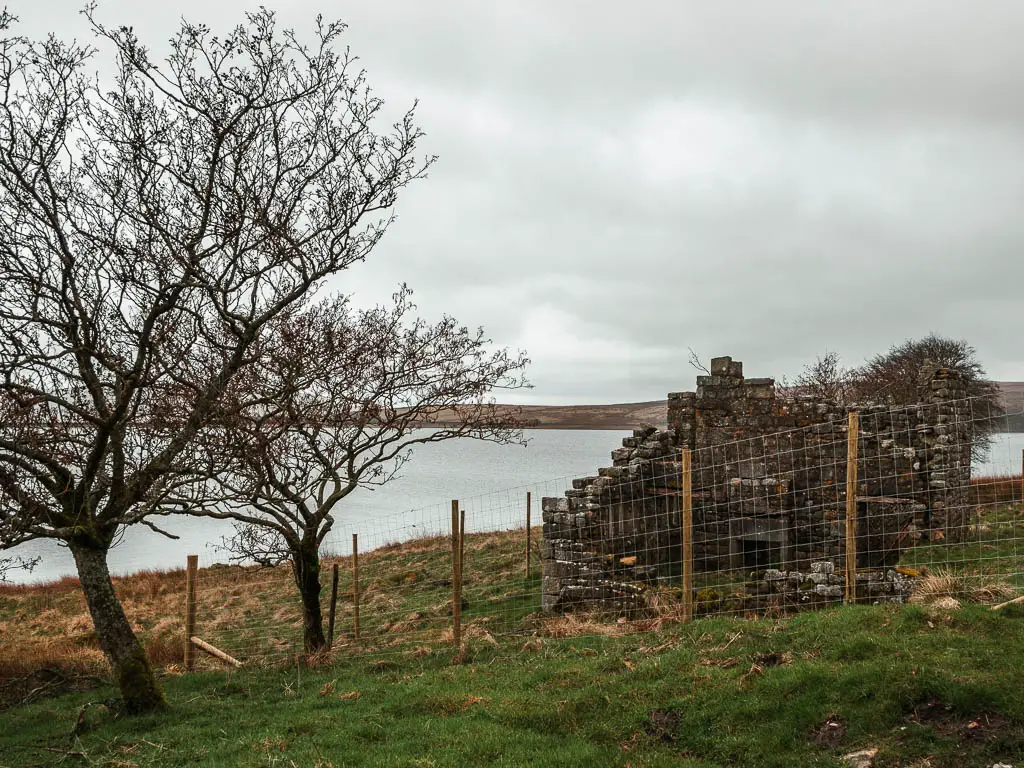 Building ruins surround by a wire fence, with a couple of small leafless trees next to it.