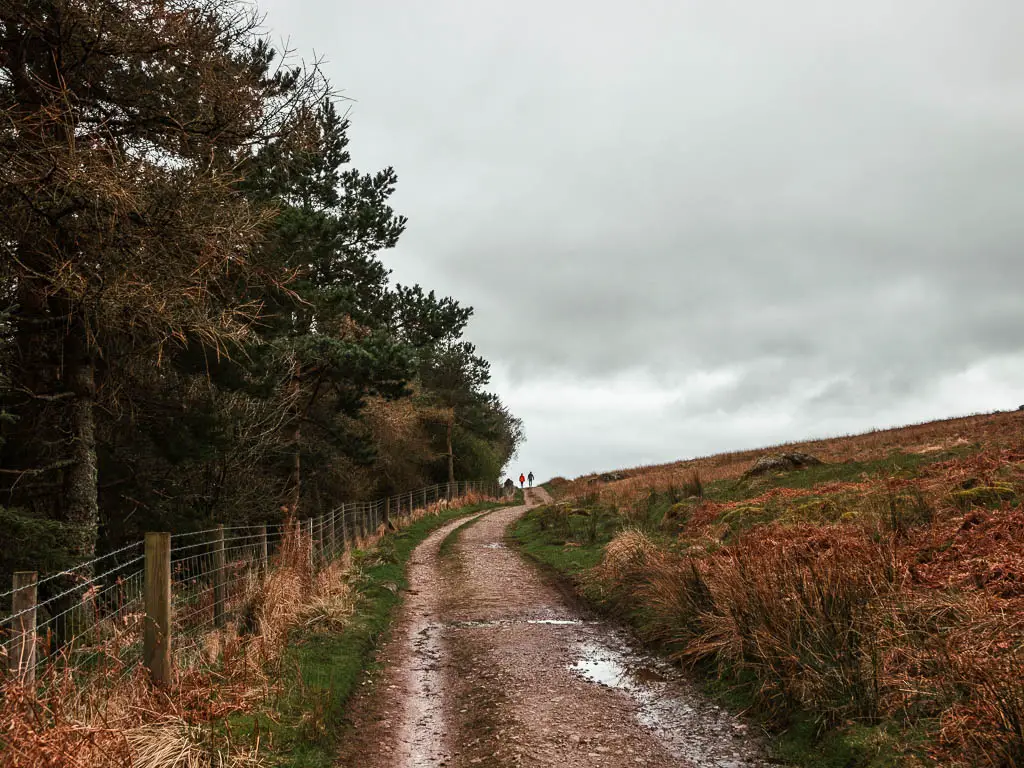 A rugged path leading uphill, with a wire fence and woodland trees to the left.