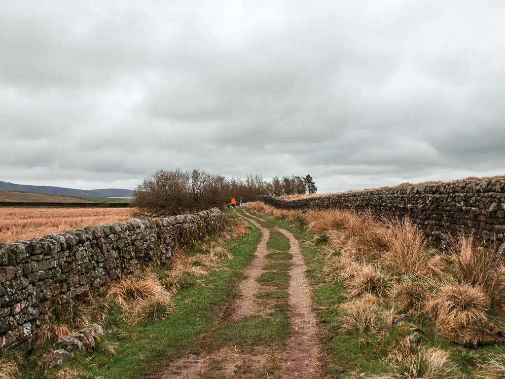 A dirt track type trail, lined with tufts of grass and stone walls.