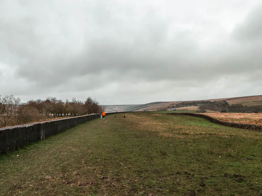 A large area of grass, with a short wall to the left. There are a couple of people walking their dogs ahead.