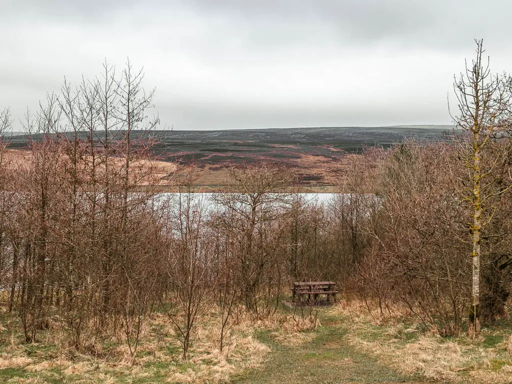 A wooden picnic bench nestled within the small leafless trees, with a view tor the reservoir below, and the moorland hills on the other side.