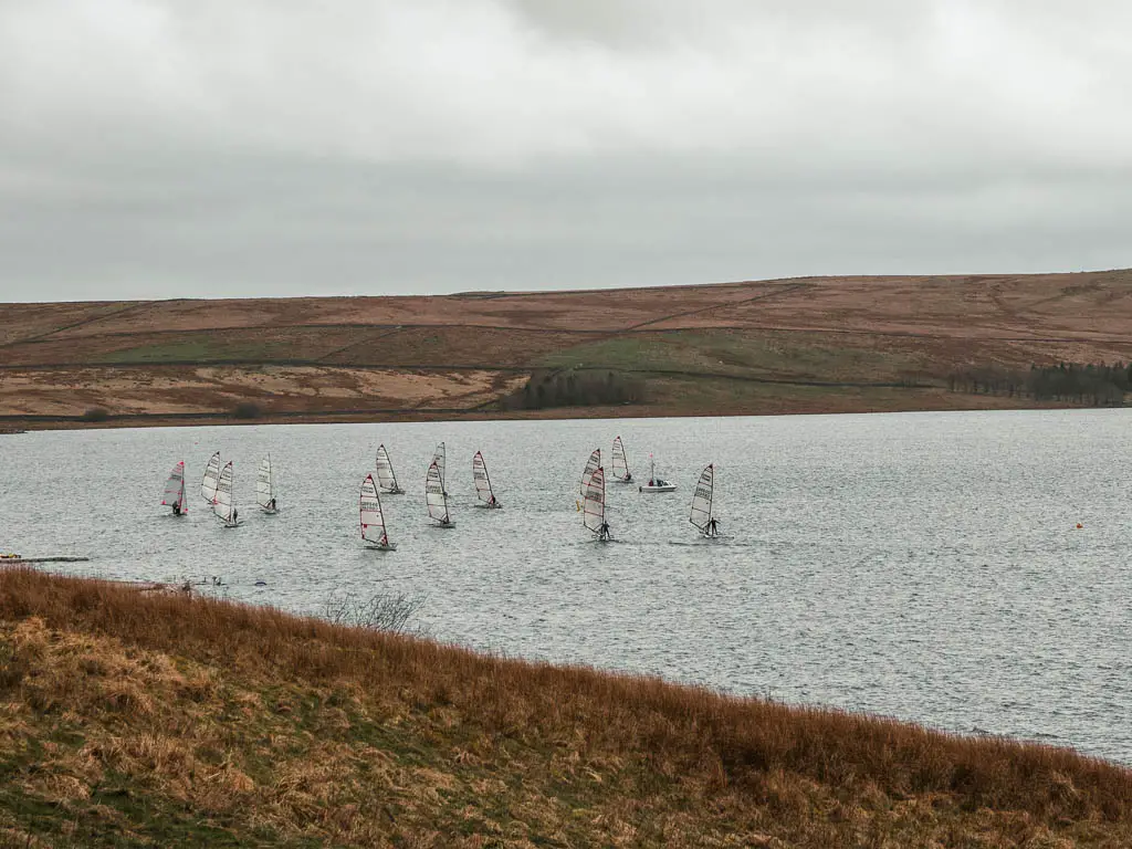 A group of sailboats on the water.