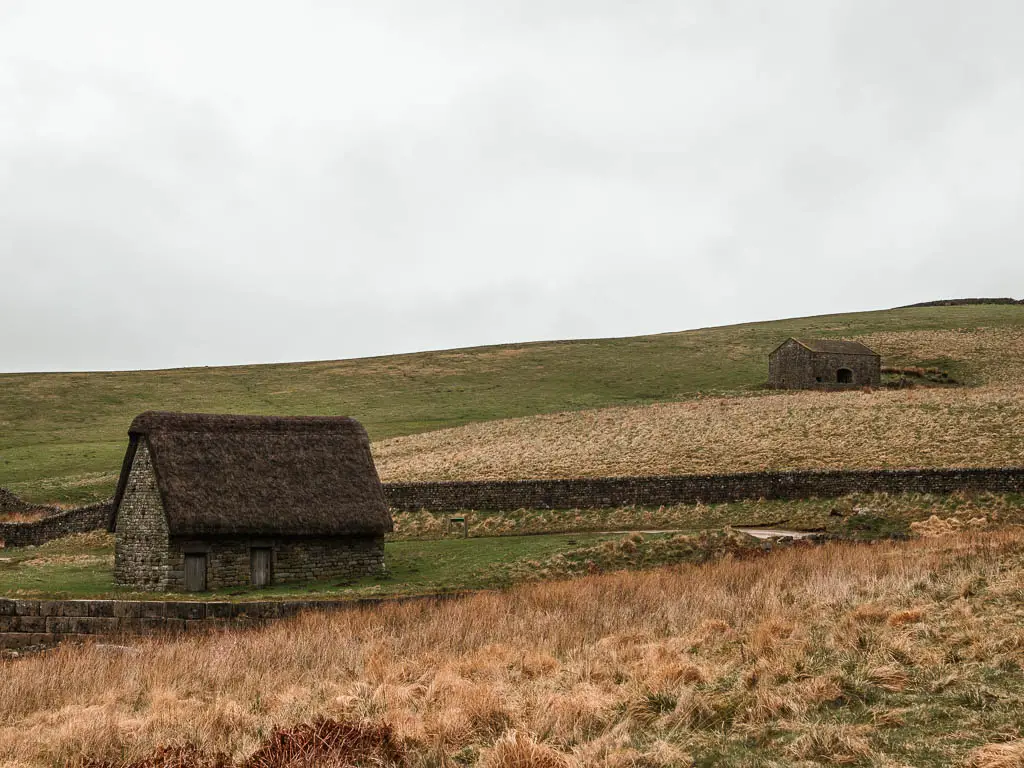 Two barns on the moorland hill. One of them has a thatched roof.