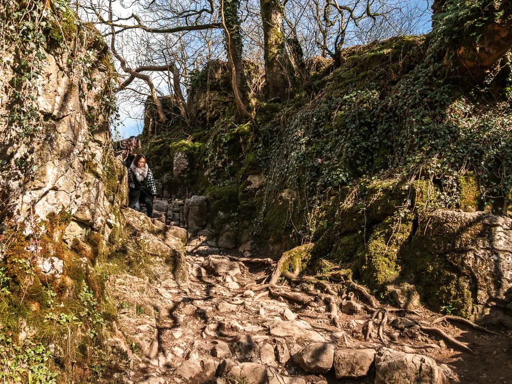 A rocky hill through a gap in the rocks, on the walk away from Janet's Foss. There is ivy hanging down the rocks, and a person walking down the rock hill.