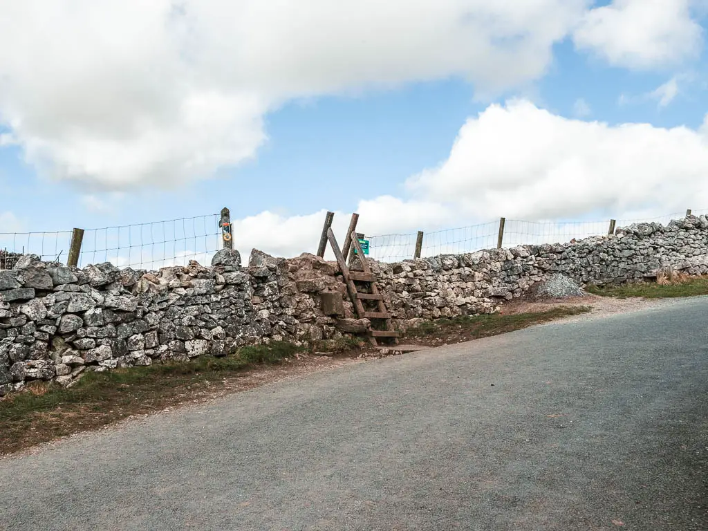 A wooden ladder over a stone wall next to the road.