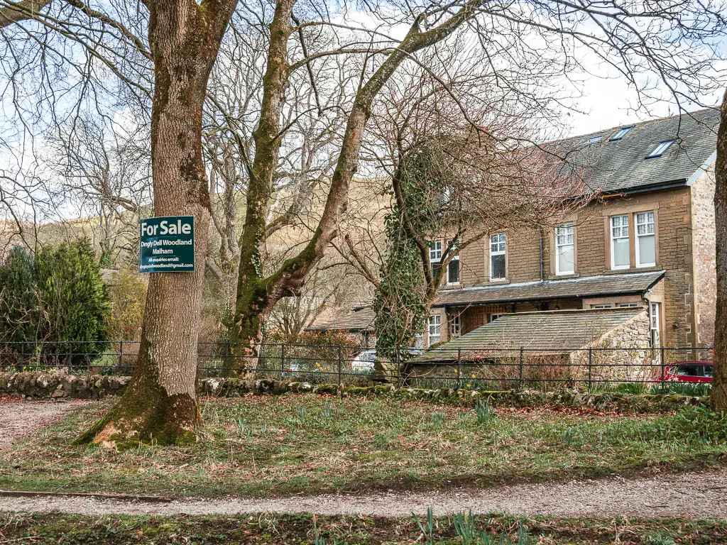 A tree on the green, with a 'for sale' sign on it.