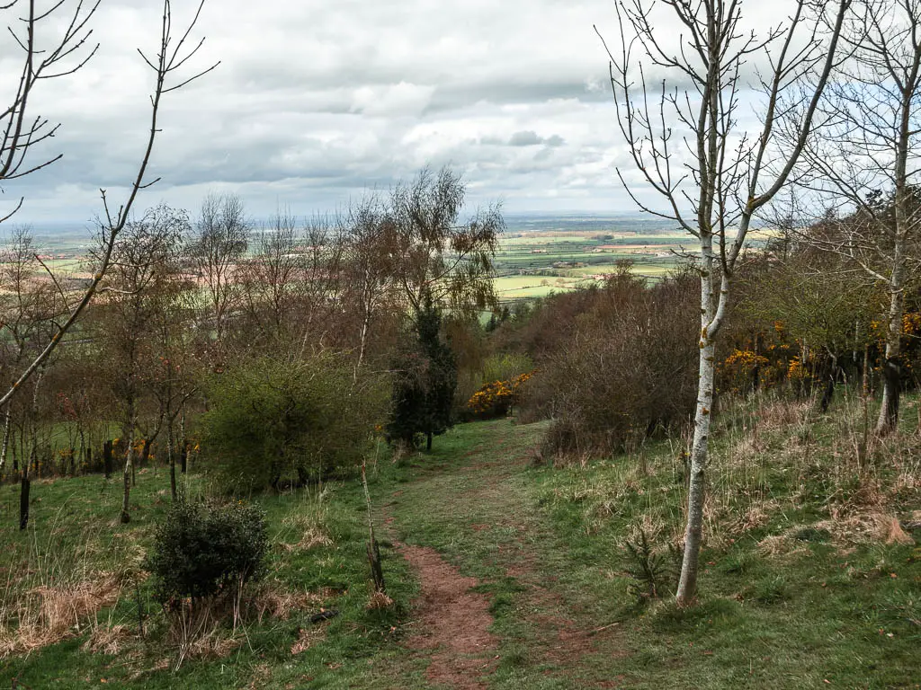 Looking down the grass path with trees and bushes dotted about.