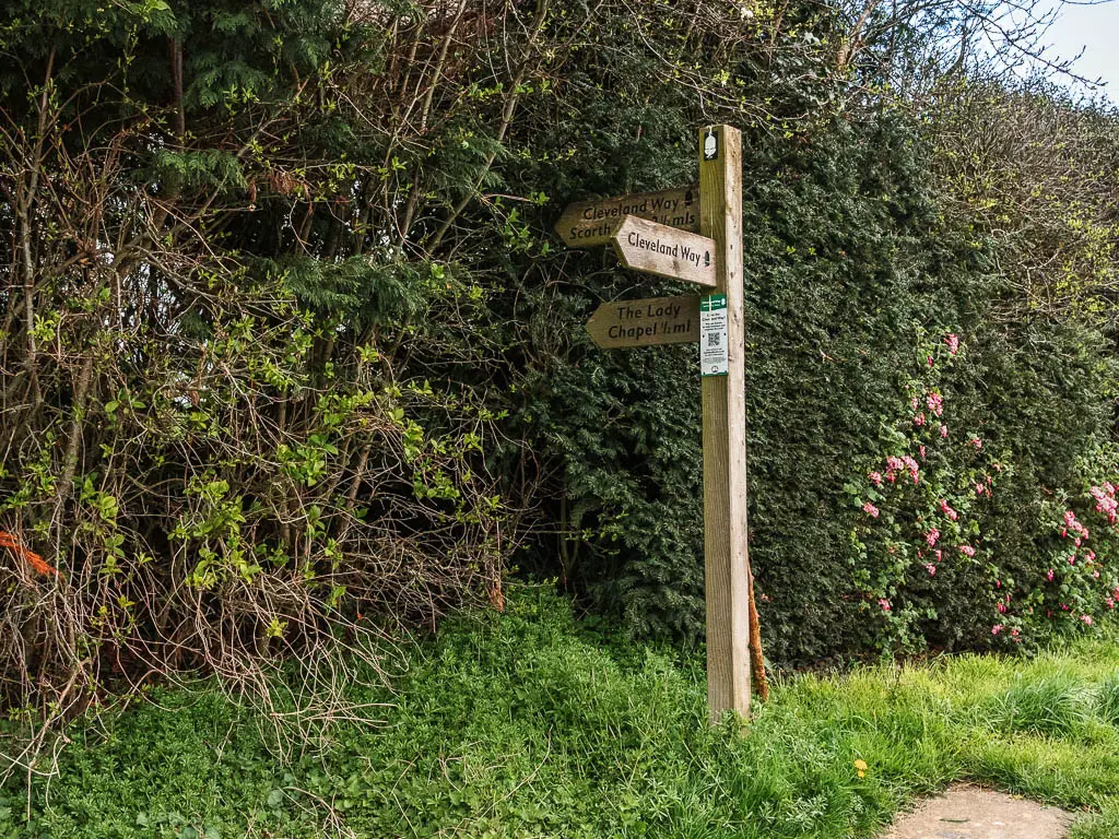 A wooden trail signpost in front of a big hedge, pouting the way to the Cleveland way.