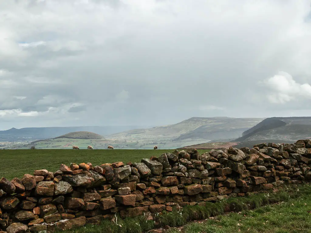 Looking over a stone wall to a field on the other side and hill view ways into the distance, on the walk from Osmotherley.