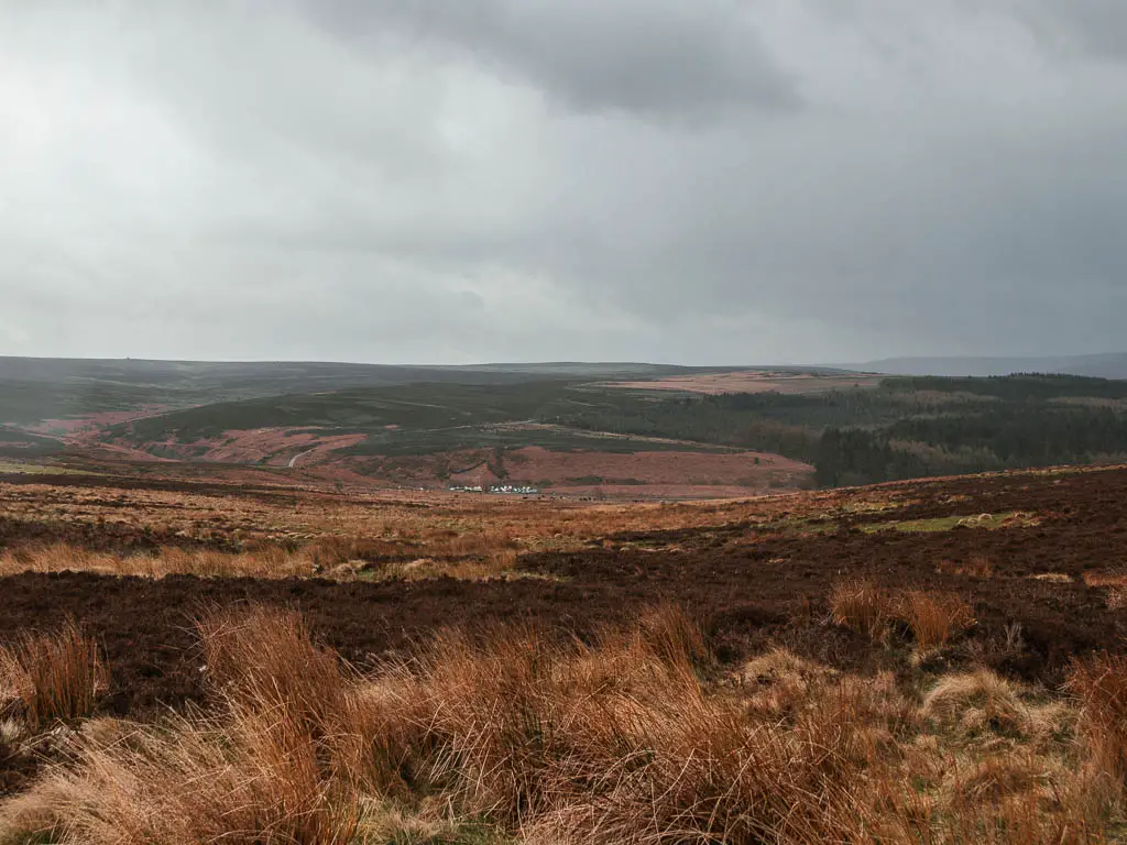 Looking across the vast moor land.