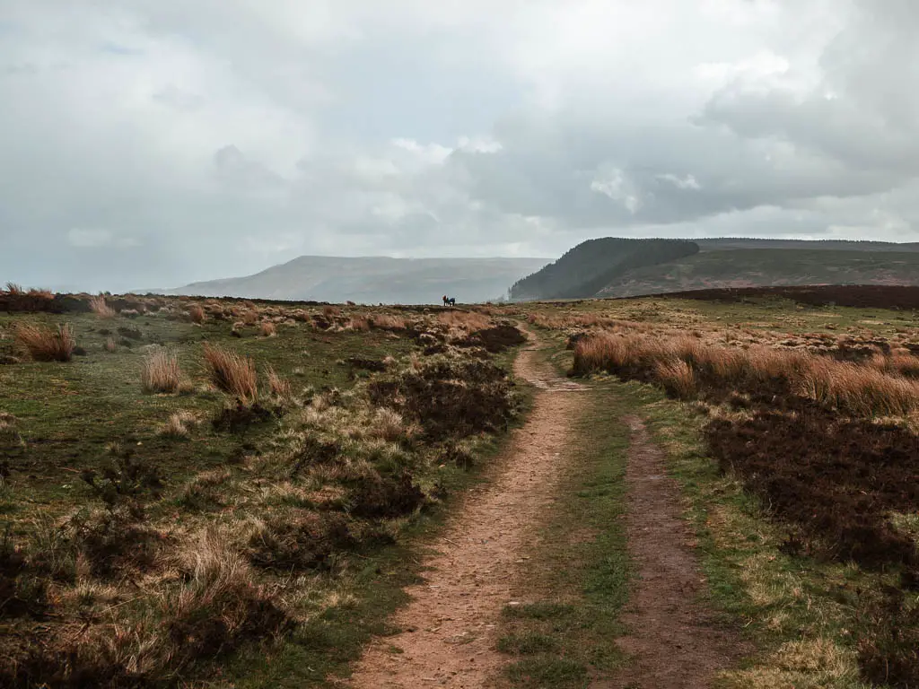 A dirt trail through the Scarth Wood Moor, with some hills in the distance, on the walk route from Osmotherley.