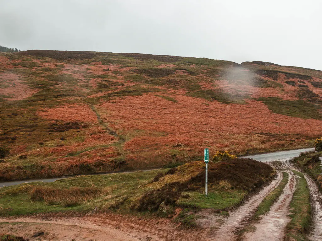 A dirt track leading down to the right, with a hill rising up on the other side.