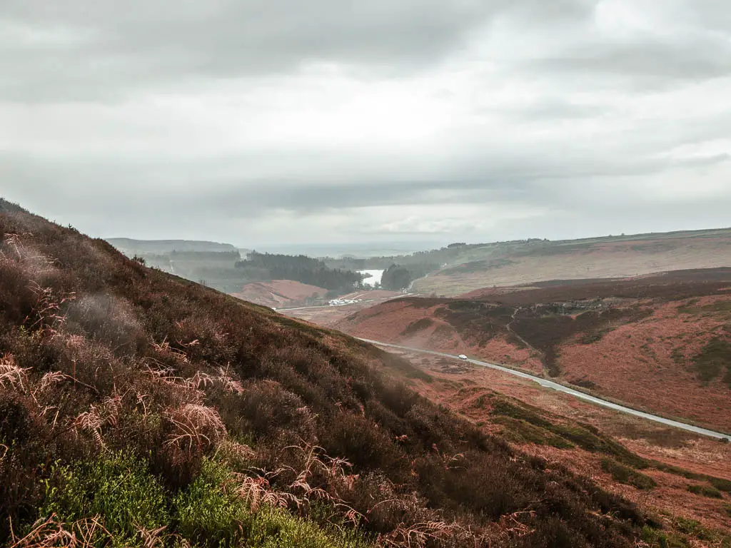 Looking along the side of the heather covered hill to the Cod Beck reservoir, on the circular walk from Osmotherley. There is a road running along the bottom of the hill.