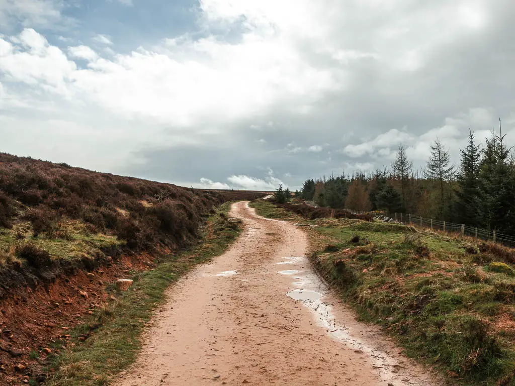 A wide dirt path curving ahead, lined with grassy banks. 