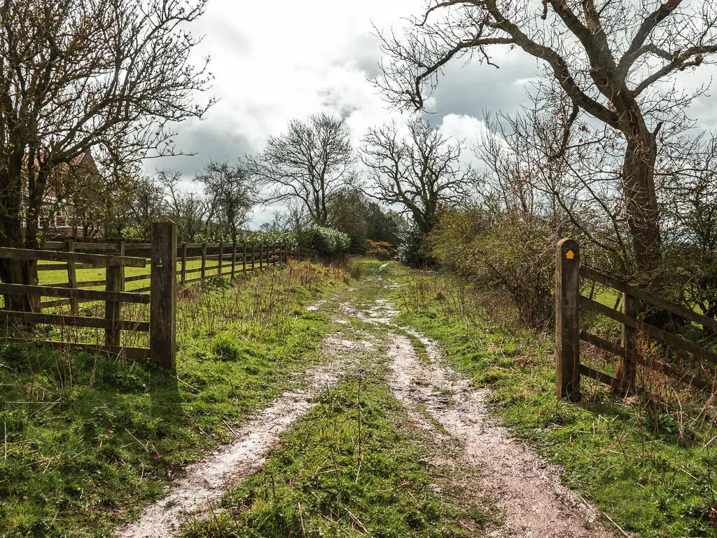 A wet and mussy grass path leading through an opening in the wooden fence. 