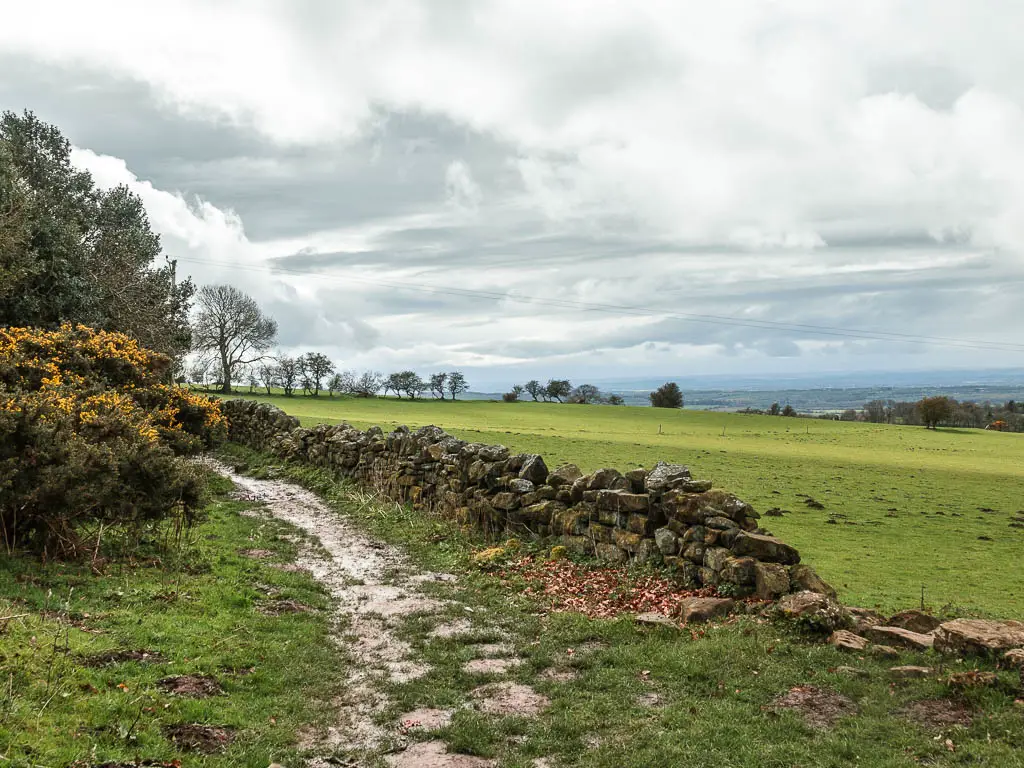 A wet and muddy grass trail leading to the left, with a stone wall and green grass field to the right.