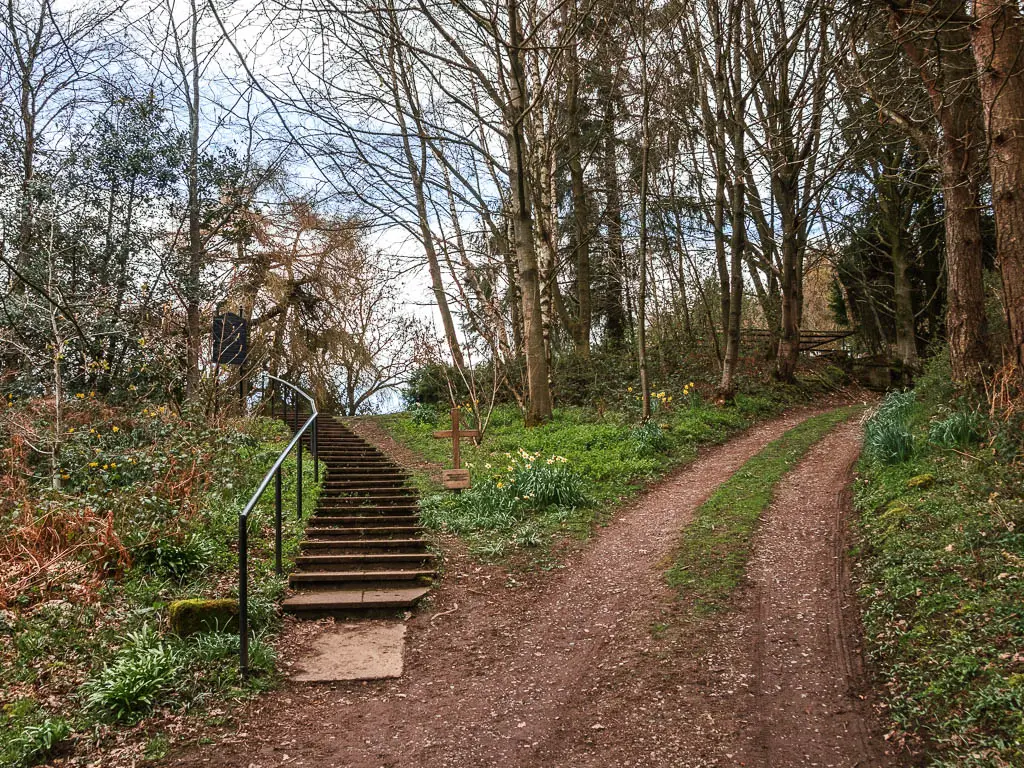 A dirt road running up to the right and steps leading up to the left.