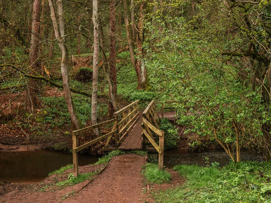 A wooden bridge over the Cod Beck, near the end of the Osmotherley circular walk. the bridge is surrounded by trees with green leaves.