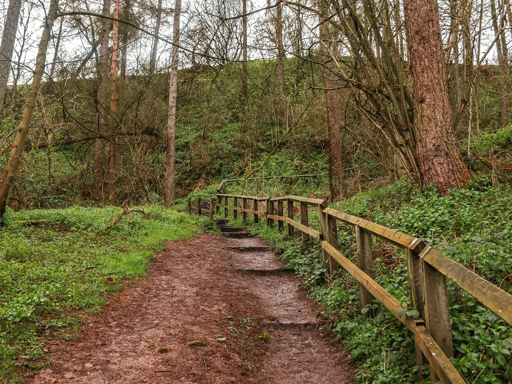 Dirt steps leading up through the woods, with a wooden railing on the right side.