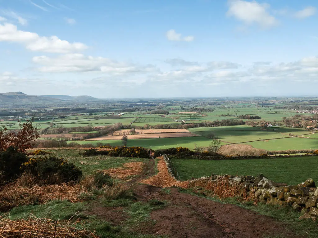 Looking down along the muddy trail through the field, with a stone wall on the right, and fields of green as far as the eye can see.