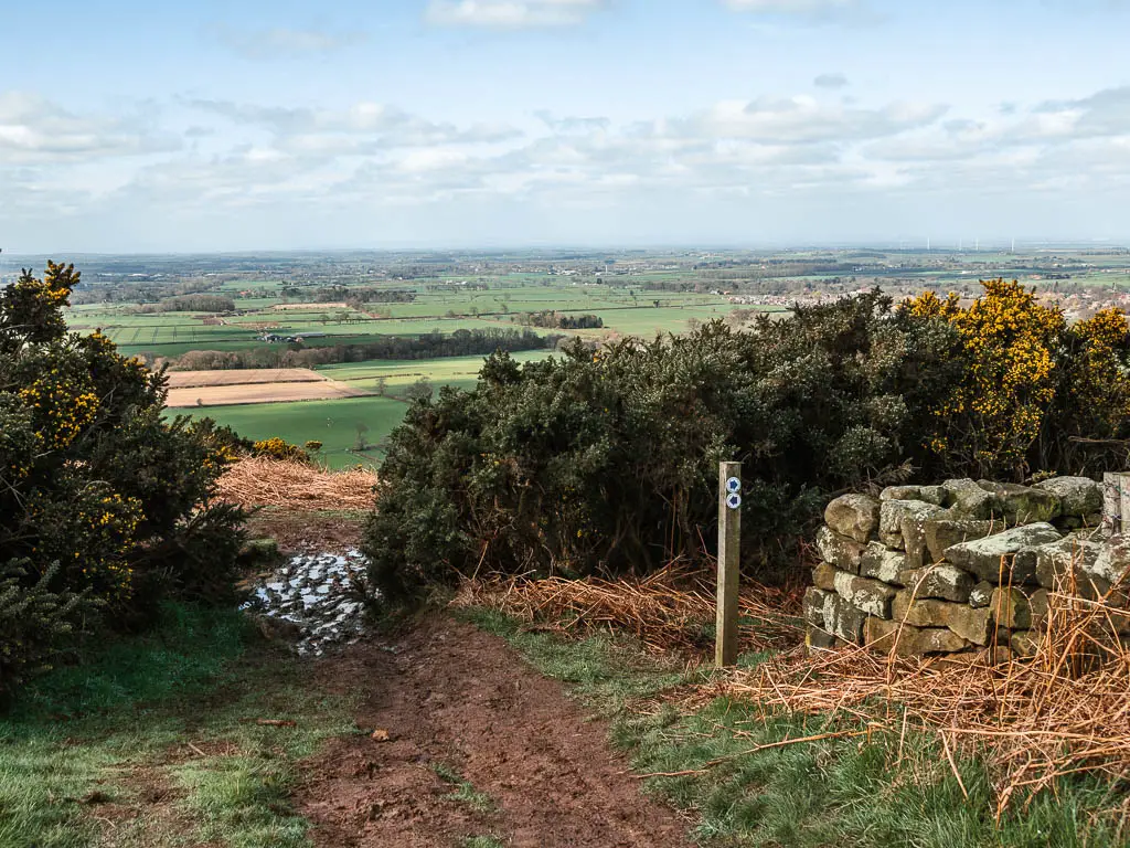 A muddy dirt trail leading through some bushes, with a stone wall and trail signpost on the right.