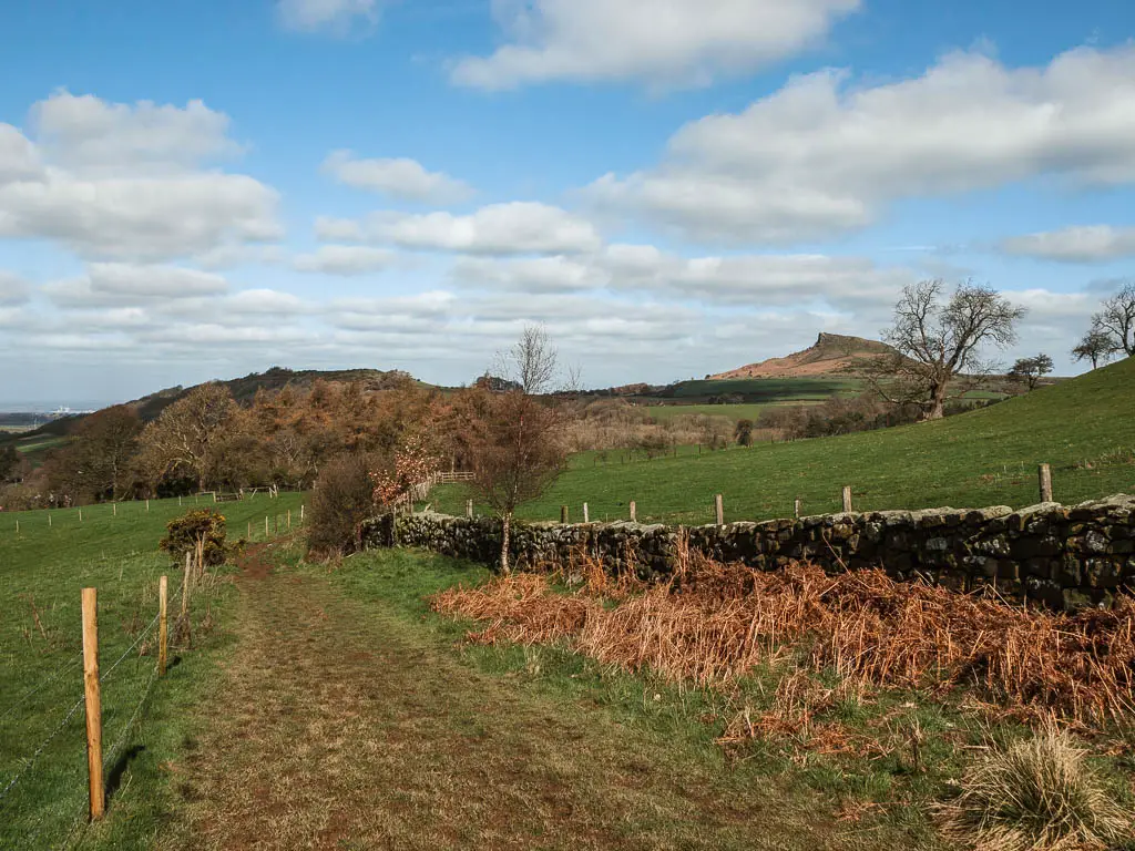 Walking along a muddy grass trail, with a stone wall on the right and wire fence on the left, and a view to Roseberry Topping in the distance to the right.