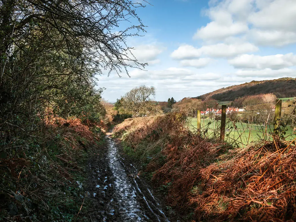 A thin muddy trail lined with bushes and a bank covered in dead orange fern.